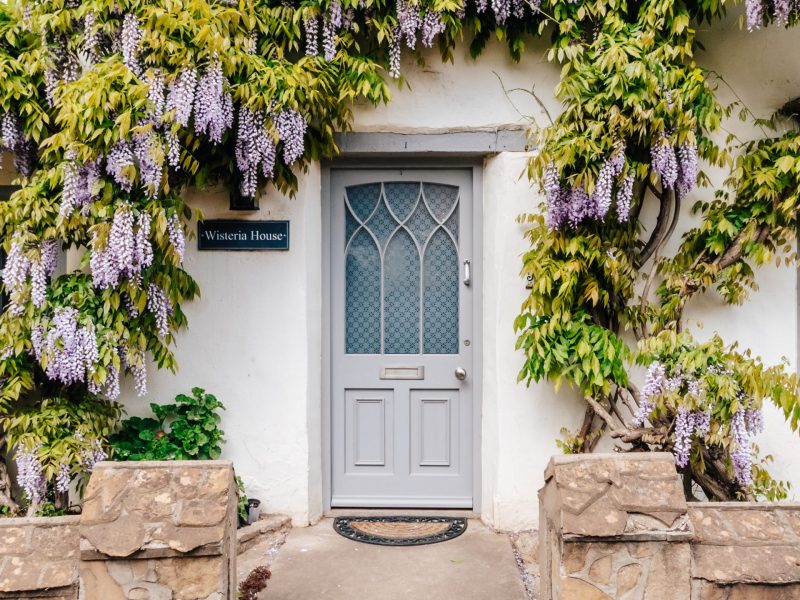 Wisteria House